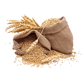 Organic Tobacco product